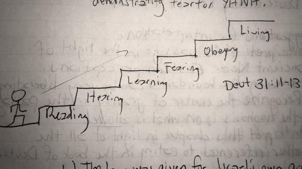 Applying the Word Step by&nbsp;Step