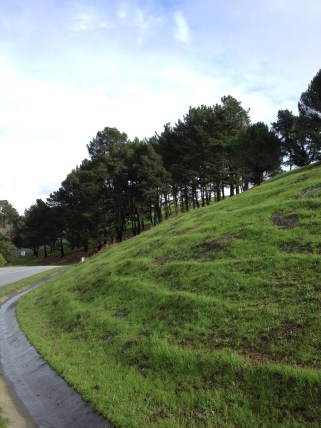 The hills around our apartment are greener than ever following all the rain we've gotten lately