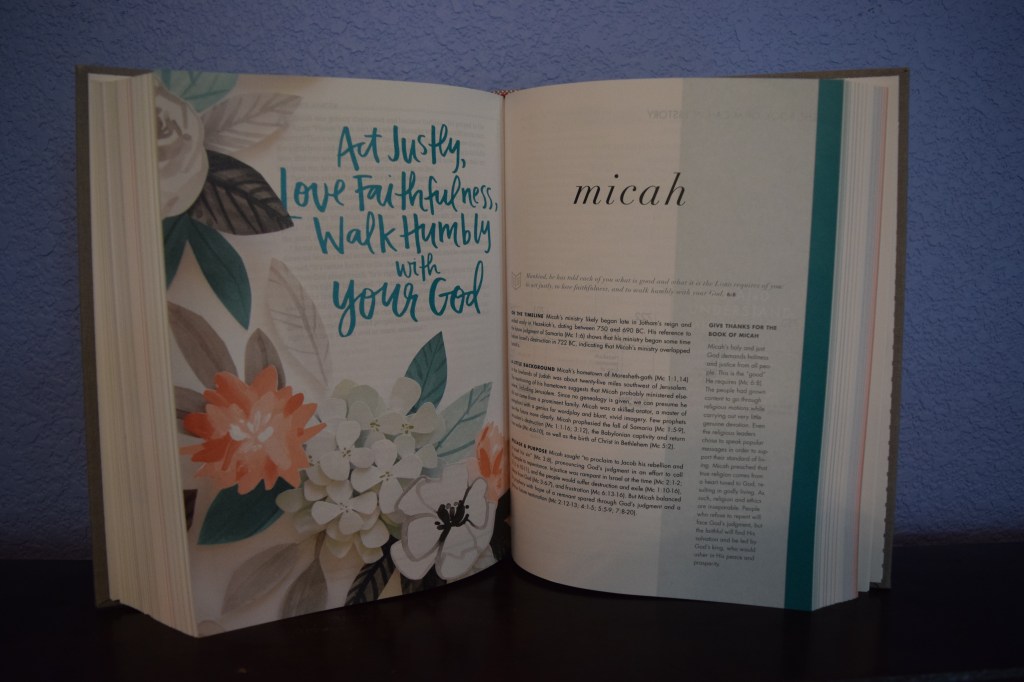 Book Review: “She Reads Truth&nbsp;Bible”